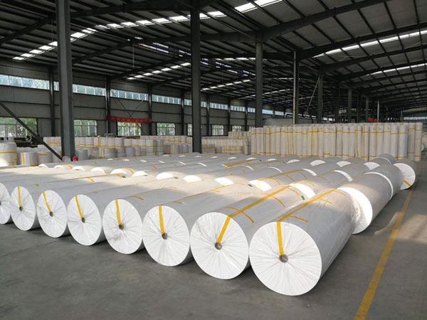 泰州狭缝式涤纶纺粘无纺布